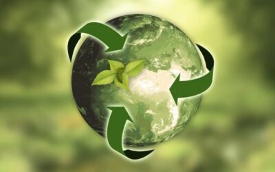 COVID-19 y sostenibilidad medioambiental